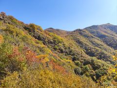 -灵山