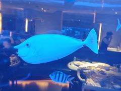 -上和臻品中国菜(花园街店)