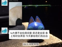 -宠物之家Pets Home 宠物寄养酒店