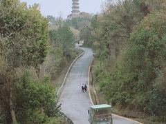 -苏州上方山国家森林公园
