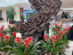 -大连富丽华大酒店