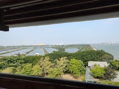 -大湾区中央湿地公园