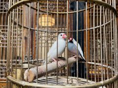 -鱼桥巷·美学川菜