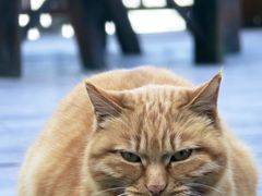 -终南山南五台景区