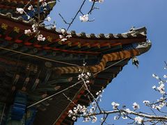 -五台山风景区