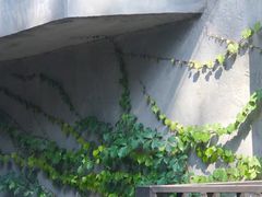 -来回·咖啡(天河南店)