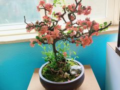 -陶然亭公园