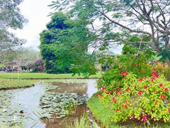 -中国科学院西双版纳热带植物园