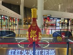 -郑州新郑国际机场-T2航站楼