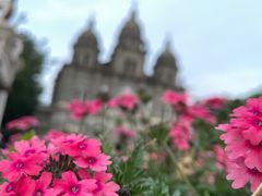 -王府井天主教堂