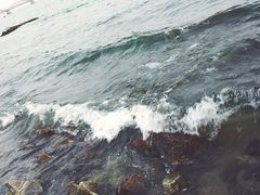 -玫瑰海岸文化旅游度假区