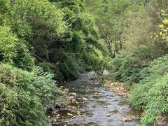 -车溪民俗旅游区