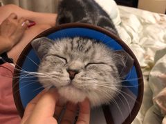 -安安宠医·安宠宠物医院