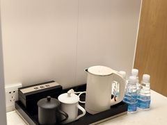 -东阿阿胶文化酒店