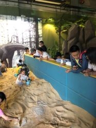 -恐龙探索乐园(磁器口店)