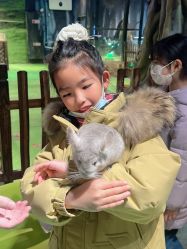 点击看大图 -酷嗒动物文化乐园(cutezoo西溪乐天城店)