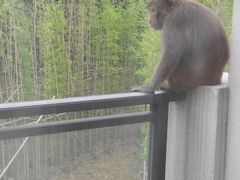 -苏州环秀晓筑养生度假村