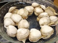 -鲜鲜·鲅鱼圈海鲜(于洪店)