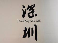 -平安金融中心云际观光层