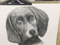 -黑骏画室·深圳美术中高考黄埔军校