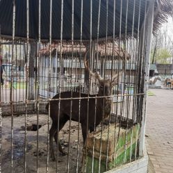 -蓝可可亲子乐园(北苑店)