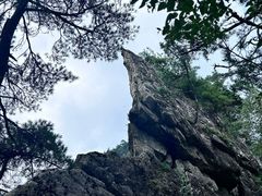-王顺山国家森林公园