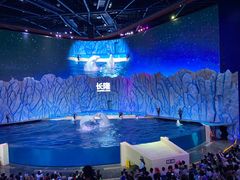 -珠海长隆海洋王国