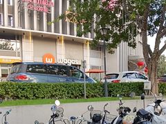 -Wagas沃歌斯(枫蓝国际店)
