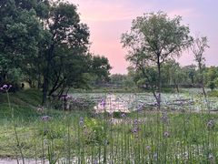 -西溪国家湿地公园