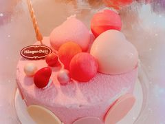 -哈根达斯(合肥天鹅湖店)