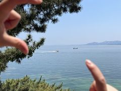 -养马岛旅游度假区