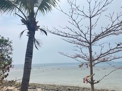 -三亚西岛海洋文化旅游区
