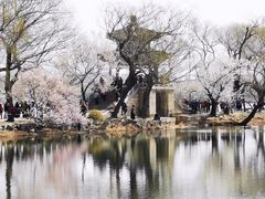 -颐和园