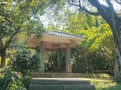 -玉树公园