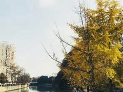 -成都市活水公园