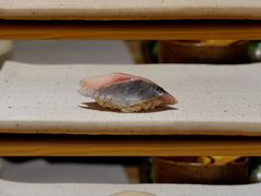 -镹·鱼料理  国产鱼使用店