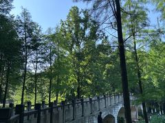 -重庆彩云湖湿地公园