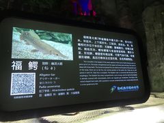 -泉城欧乐堡海洋极地世界