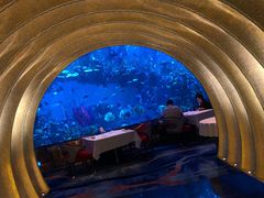 -迪拜帆船酒店海底餐厅