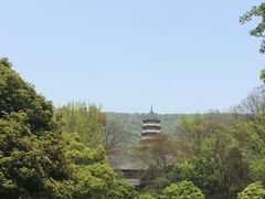-灵谷景区