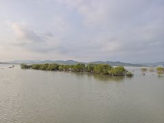 -盐洲岛