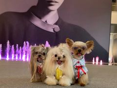 -深圳湾万象城(南山店)