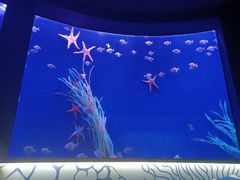 -沈阳海洋探索中心