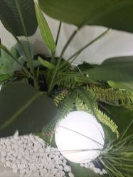 -HEYAN荷妍专业脱毛连锁机构
