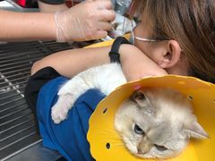 -伟伟宠物医院·CT影像中心·瑞派犬猫综合性门诊(汉口总院)