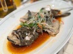 清蒸东星斑-潮州府·潮菜·砂锅粥(徐家汇店)