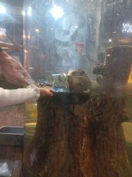 -Zoolung Zoolung动物主题公园(海信广场店)