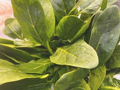 小菠菜-王家渡火锅店(棕榈泉店)