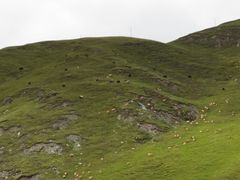 -橡皮山