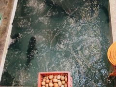 -旭龙鱼头王(航华店)